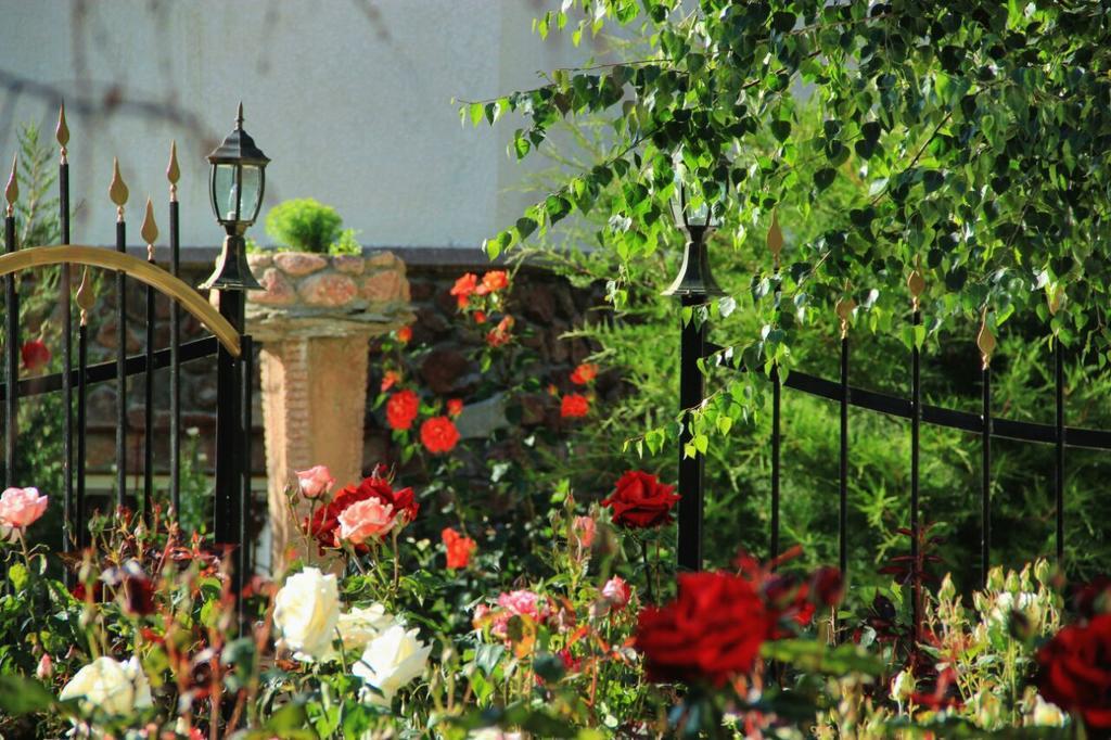 Hotel Gostinyi Dvor Bosteri Buitenkant foto