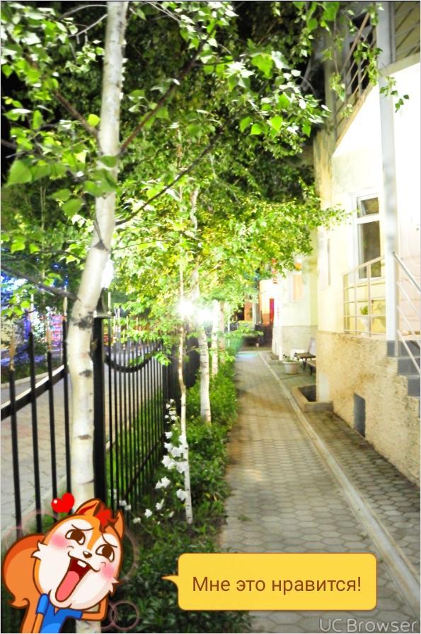 Hotel Gostinyi Dvor Bosteri Buitenkant foto